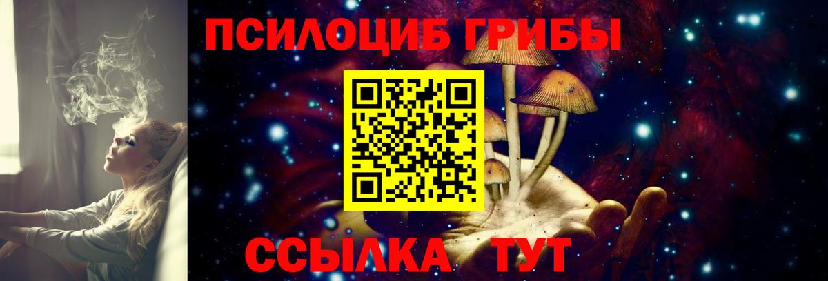 Псилоцибиновые грибы мицелий  Вход с VPN  Новоалтайск 