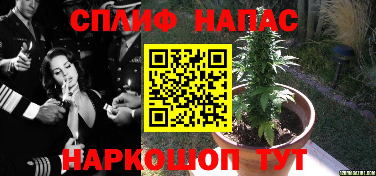Бошки Шишки OG Kush  Конопля AK-47  Вход с VPN  Новоалтайск  Бошки Шишки THC 21% 